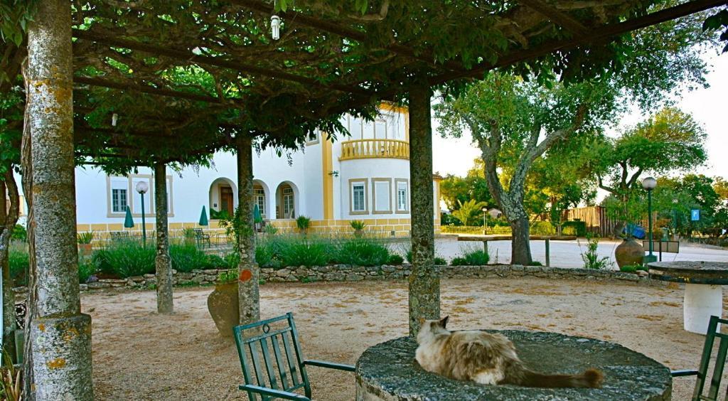 Apartamento Quinta Da Bela Vista Póvoa e Meadas Exterior foto
