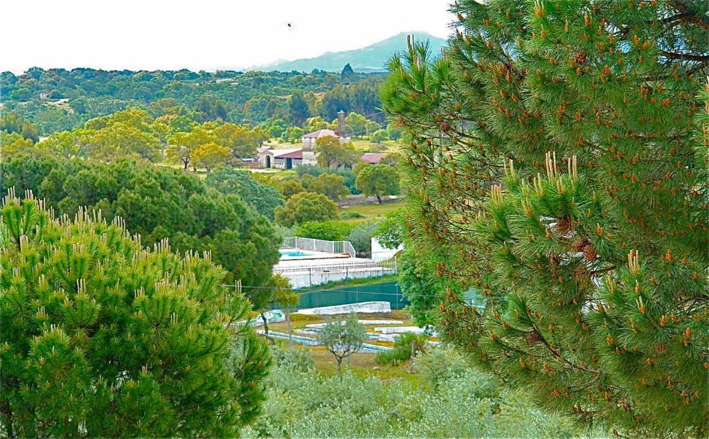 Apartamento Quinta Da Bela Vista Póvoa e Meadas Habitación foto