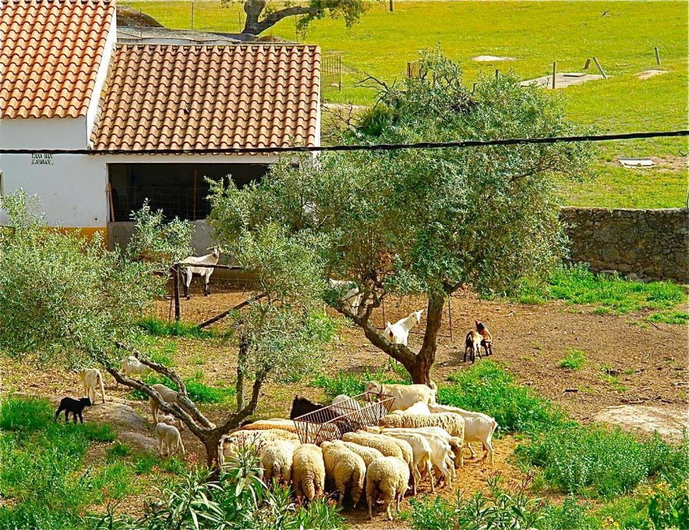 Apartamento Quinta Da Bela Vista Póvoa e Meadas Exterior foto